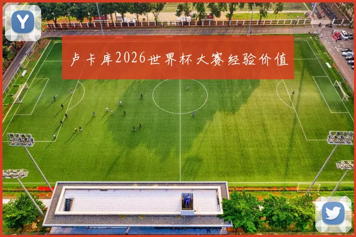 卢卡库2026世界杯大赛经验价值
