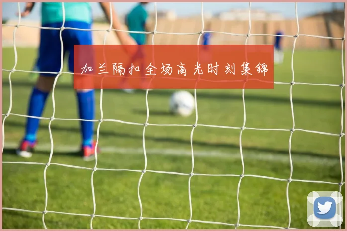 加兰隔扣全场高光时刻集锦