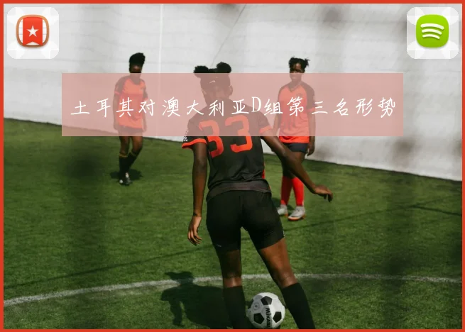 土耳其对澳大利亚D组第三名形势