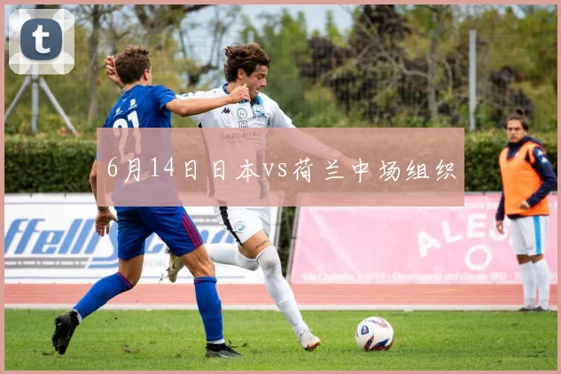 6月14日日本vs荷兰中场组织