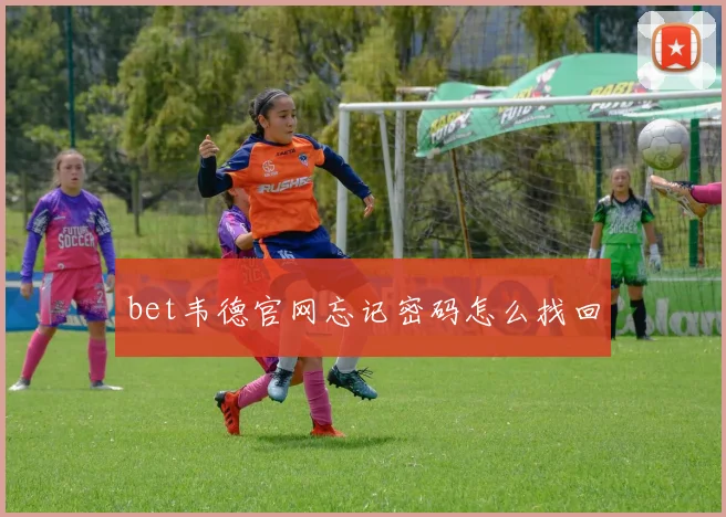 bet韦德官网忘记密码怎么找回