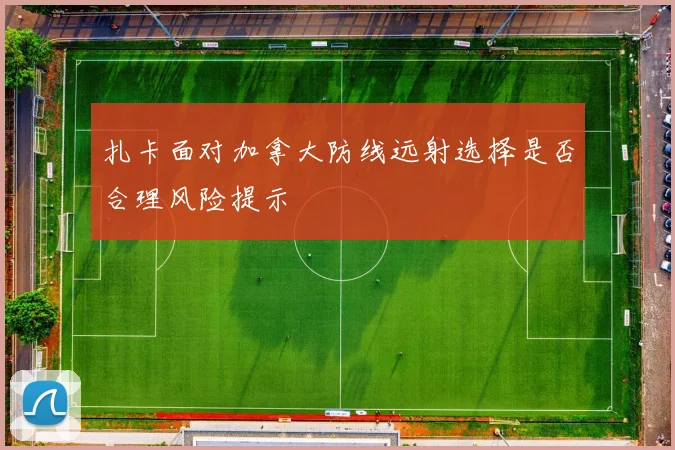 扎卡面对加拿大防线远射选择是否合理风险提示