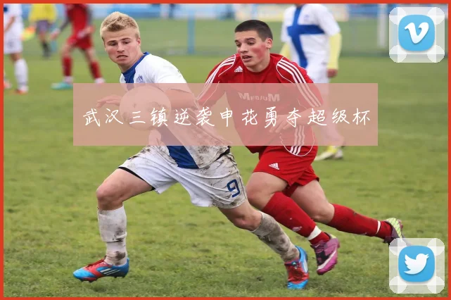 武汉三镇逆袭申花勇夺超级杯